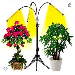Indoor Plant Lights on adjustable stand.